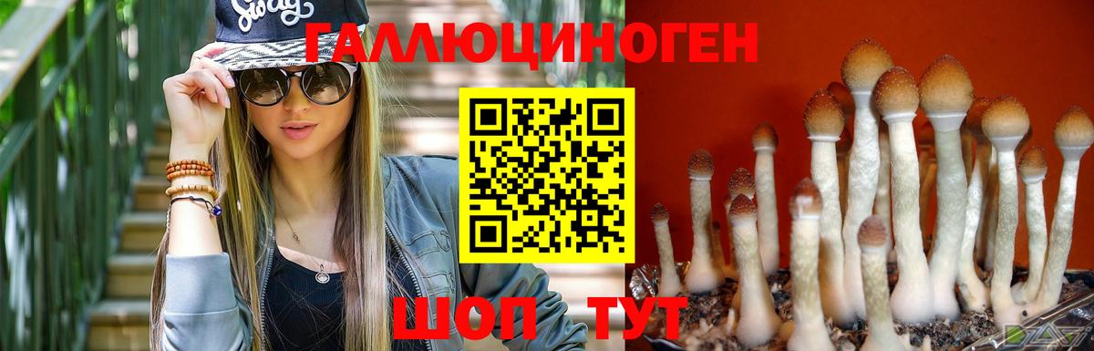 Псилоцибиновые грибы Psilocybe  Вход с VPN  Галлюциногенные грибы GOLDEN TEACHER  Касимов 